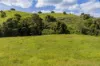 , Cootharaba QLD 4565-Image