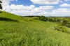 , Cootharaba QLD 4565-Image