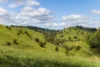 , Cootharaba QLD 4565-Image