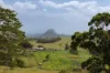 , Cootharaba QLD 4565-Image