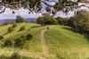 , Cootharaba QLD 4565-Image