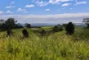 , Cootharaba QLD 4565-Image
