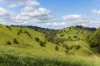 , Cootharaba QLD 4565-Image