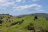 , Cootharaba QLD 4565-Image