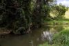 , Cootharaba QLD 4565-Image