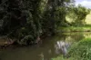 , Cootharaba QLD 4565-Image