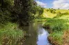 , Cootharaba QLD 4565-Image