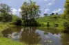 , Cootharaba QLD 4565-Image