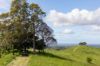, Cootharaba QLD 4565-Image