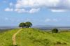 , Cootharaba QLD 4565-Image