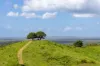, Cootharaba QLD 4565-Image