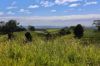, Cootharaba QLD 4565-Image