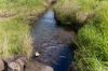 , Cootharaba QLD 4565-Image