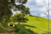 , Cootharaba QLD 4565-Image
