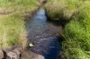 , Cootharaba QLD 4565-Image