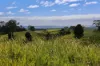 , Cootharaba QLD 4565-Image