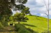 , Cootharaba QLD 4565-Image