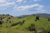 , Cootharaba QLD 4565-Image