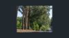 , Cowaramup WA 6284-Image