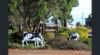 , Cowaramup WA 6284-Image