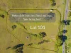 Land Release Glen William Road, Clarence Town NSW 2321-Image