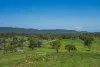 Land Release Glen William Road, Clarence Town NSW 2321-Image