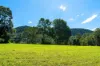 Lot 1/622, Cedar Creek QLD 4520-Image