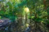 Lot 1/622, Cedar Creek QLD 4520-Image