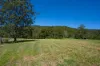 Lot 1/622, Cedar Creek QLD 4520-Image