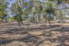 Lot 1 Morella Road, Ararat VIC 3377-Image