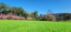 Lot 10 Chesapeake Estate, Airlie Beach QLD 4802-Image