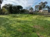 Lot 101 Flood Street, Cudal NSW 2864-Image