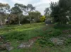 Lot 101 Flood Street, Cudal NSW 2864-Image