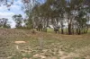 Lot 11 Noonans Lane, Crowlands VIC 3377-Image