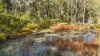 Lot 115 Big Jack Mountain Road, Cathcart NSW 2632-Image
