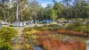 Lot 115 Big Jack Mountain Road, Cathcart NSW 2632-Image