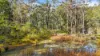 Lot 115 Big Jack Mountain Road, Cathcart NSW 2632-Image