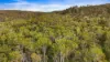 Lot 115 Big Jack Mountain Road, Cathcart NSW 2632-Image