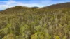 Lot 115 Big Jack Mountain Road, Cathcart NSW 2632-Image