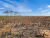 Lot 15 Murbko Road, Cadell SA 5321-Image