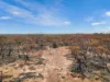 Lot 15 Murbko Road, Cadell SA 5321-Image
