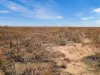 Lot 15 Murbko Road, Cadell SA 5321-Image