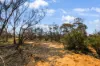 Lot 15 Murbko Road, Cadell SA 5321-Image