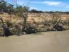 Lot 15 Murbko Road, Cadell SA 5321-Image