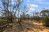 Lot 15 Murbko Road, Cadell SA 5321-Image