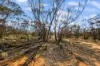 Lot 15 Murbko Road, Cadell SA 5321-Image