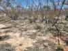 Lot 15 Murbko Road, Cadell SA 5321-Image