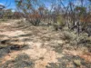 Lot 15 Murbko Road, Cadell SA 5321-Image
