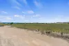 Lot 2 Cane Avenue, Ardrossan SA 5571-Image