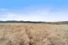 Lot 2 Monaro Highway, Bunyan NSW 2630-Image